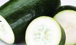 6瓜吃6瓜,探寻瓜果之乐