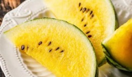 法国人吃红瓜视频,红瓜盛宴背后的故事