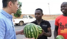 吃瓜非常干净,尽享干净吃瓜新体验