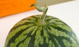 吃瓜和看瓜的网络含义,吃瓜群众与看瓜盛宴的幕后故事