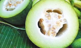 汶上吃瓜,一场别开生面的吃瓜盛宴