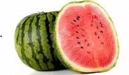 吃瓜机是什么,网络时代的新奇产物