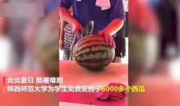 吃大瓜情景视频,一场情景视频中的趣味观察