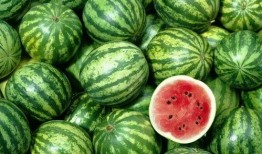 爱豆翻牌体验 吃瓜,一场吃瓜群众的狂欢体验