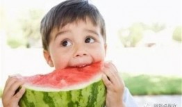 婴儿可以吃姜饼瓜么,营养与适宜性探讨