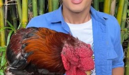 吃瓜挑战贴纸,趣味互动，揭秘娱乐圈幕后故事