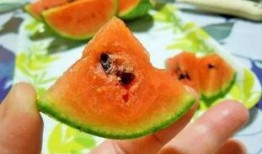 富贵吃瓜人,吃瓜笑谈世间百态