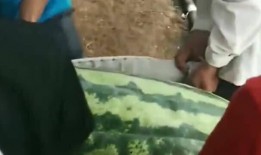 内蒙吃瓜女孩,揭秘草原上的网络新风尚