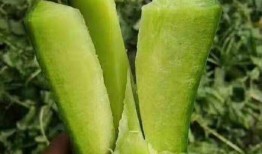 水果沙瓤瓜怎么吃减肥,轻松享受水果美味，健康瘦身两不误