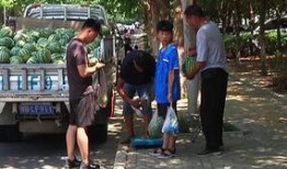 杞县吃瓜群众,吃瓜群众热议，揭秘当地生活百态