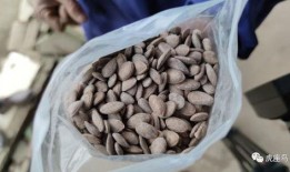 墨仔吃瓜,揭秘娱乐圈幕后故事