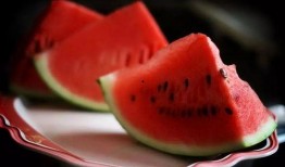 小瓜晒干怎么吃,解锁夏日美味新境界