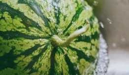 www吃瓜网,www吃瓜网带你领略明星幕后故事