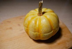 小菊吃瓜,揭秘娱乐圈背后的秘密