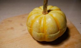 小菊吃瓜,揭秘娱乐圈背后的秘密