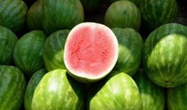 司言吃瓜原则,司言吃瓜，一网打尽明星幕后故事