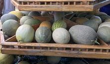 新疆最近吃瓜事件,揭秘背后真相与网络舆论风暴