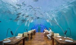 海底吃瓜日志,揭秘神秘海底吃瓜日志