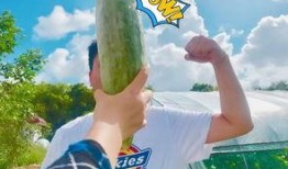 吃瓜送其他瓜,一场别开生面的“吃瓜盛宴”