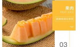 圆瓜可以吃皮,探索美味与营养的双重享受