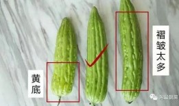 婷儿吃瓜,揭秘娱乐圈那些不为人知的幕后故事