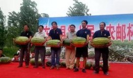 东明吃瓜新闻,揭秘当地热点事件背后的真相