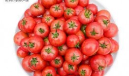 水果沙瓤瓜怎么吃减肥,轻松享受水果美味，健康瘦身两不误