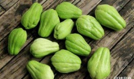 智商税太高了吃瓜吃瓜,吃瓜群众如何识破高智商陷阱