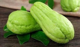 小旋吃瓜,揭秘娱乐圈那些不为人知的幕后故事