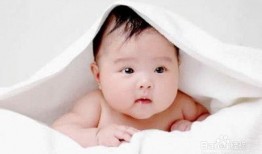 婴儿可以吃姜饼瓜么,营养与适宜性探讨