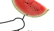 明天吃瓜图片,揭秘明天吃瓜大事件