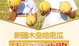 爱心拥抱吃瓜,共享甜蜜吃瓜时光