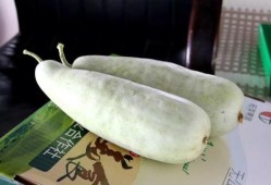 洋瓜牙可以吃吗,能否食用及营养价值解析