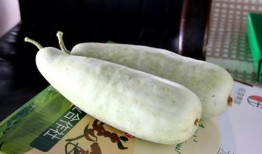 洋瓜牙可以吃吗,能否食用及营养价值解析