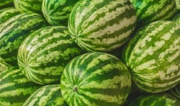 大早上吃瓜,揭秘大早上吃瓜的奇妙体验