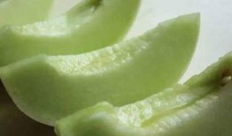 圆瓜可以吃皮,探索美味与营养的双重享受