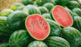 明天吃瓜图片,揭秘明天吃瓜大事件