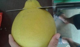 剥柚子吃瓜,解锁夏日清新美味之旅