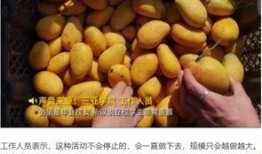 海南大学吃瓜视频,揭秘校园生活趣味瞬间