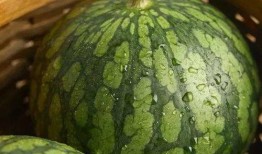 婷儿吃瓜,揭秘娱乐圈那些不为人知的幕后故事