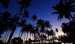 海南大学吃瓜视频,揭秘校园生活趣味瞬间