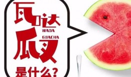 抖音网吃瓜,揭秘热门事件背后的真相