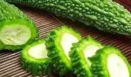 6瓜吃6瓜,探寻瓜果之乐