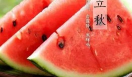 为什么立秋必须吃瓜,传统习俗背后的养生智慧