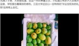 海南大学吃瓜视频,揭秘校园生活趣味瞬间