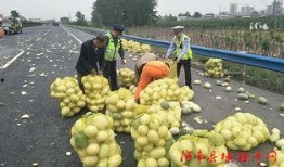 杞县吃瓜群众,吃瓜群众热议，揭秘当地生活百态