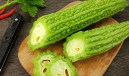 吃瓜机是什么,网络时代的新奇产物