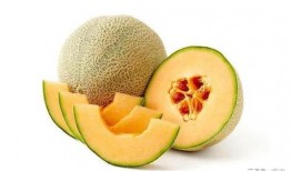 带你吃瓜神器,带你领略美食盛宴的“吃瓜神器”攻略