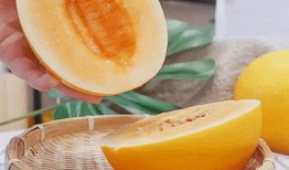 吃黄色蜜瓜