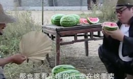 吃瓜总裁喂西瓜,一场瓜果间的浪漫邂逅